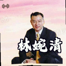 林婉清